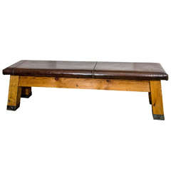 European Leather Gymcana Bench